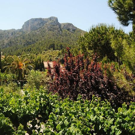 Hostal Braseria Tivissa Εξωτερικό φωτογραφία